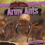 Army Ants