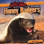 Honey Badgers