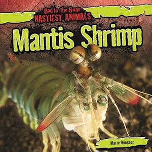 Mantis Shrimp