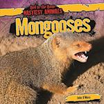 Mongooses