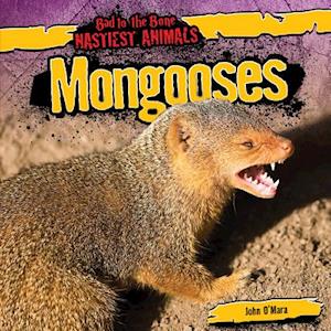 Mongooses