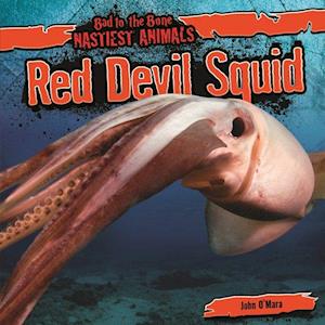 Red Devil Squid