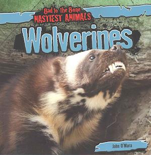 Wolverines