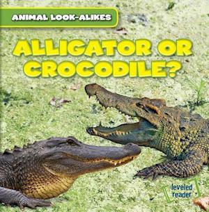 Alligator or Crocodile?