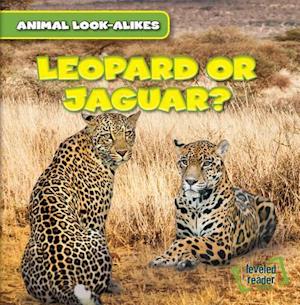 Leopard or Jaguar?