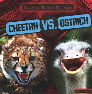 Cheetah vs. Ostrich