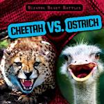 Cheetah vs. Ostrich