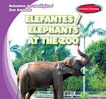 Elefantes / Elephants at the Zoo