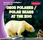 Osos Polares / Polar Bears at the Zoo