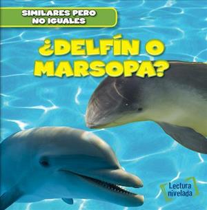 Delfin O Marsopa? (Dolphin or Porpoise?)