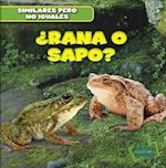 Rana O Sapo? (Frog or Toad?)