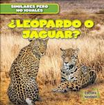 Leopardo O Jaguar? (Leopard or Jaguar?)