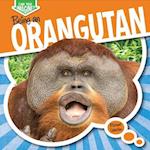 Being an Orangutan