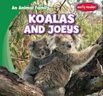 Koalas and Joeys