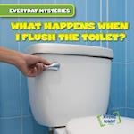 What Happens When I Flush the Toilet?