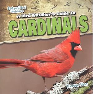 A Bird Watcher's Guide to Cardinals