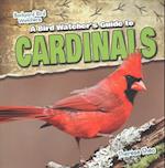 A Bird Watcher's Guide to Cardinals