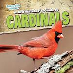 A Bird Watcher's Guide to Cardinals