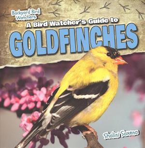 A Bird Watcher's Guide to Goldfinches