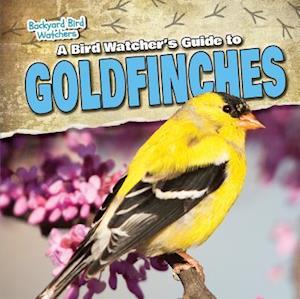 A Bird Watcher's Guide to Goldfinches