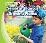 Sembrar Plantas/ Growing Plants