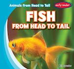 Fish from Head to Tail