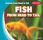 Fish from Head to Tail