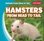 Hamsters from Head to Tail