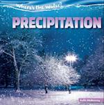 Precipitation