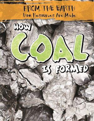 How Coal Is Formed