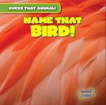 Name That Bird!