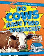 Do Cows Have Two Stomachs?