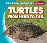 Turtles from Head to Tail