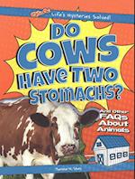 Do Cows Have Two Stomachs?