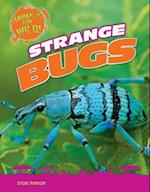 Strange Bugs