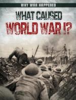 What Caused World War I?