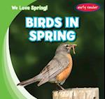 Birds in Spring