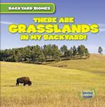 There Are Grasslands in My Backyard!