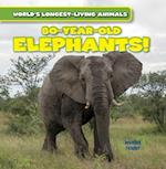 80-Year-Old Elephants!