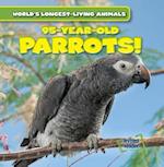 95-Year-Old Parrots!