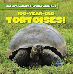 100-Year-Old Tortoises