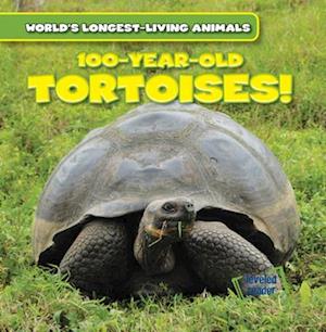 100-Year-Old Tortoises