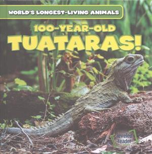 100-Year-Old Tuataras!