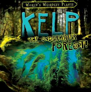 Kelp: The Underwater Forest!