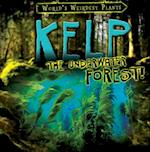 Kelp: The Underwater Forest!