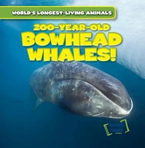 200-Year-Old Bowhead Whales!