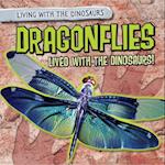 Dragonflies Lived with the Dinosaurs!