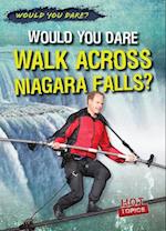 Would You Dare Walk Across Niagara Falls?