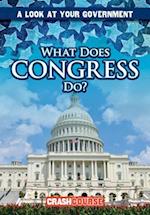 What Does Congress Do?