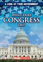 What Does Congress Do?